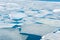 Breaking spring ice floe at the Japanese sea