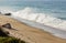 Breaking wave with backspray on a sandy beach with boulders and iceplant, with an ocean expanse horizon