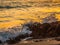 Breaking Wave in the Golden Morning Sunlight