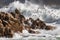 breaking wave rolling over rocky shoreline, with seagulls in flight