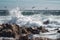 breaking wave rolling over rocky shoreline, with seagulls in flight