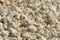 Breakstone background. Road gravel. Gravel texture. Crushed Gravel. Piles of limestone rocks. Break stones on construction site.