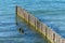 Breakwater on beach. Wooden sea separator. Beautiful seascape. Protection holidaymakers from effects of both weather and longshore