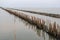 Breakwater make from bamboo and stone, protects the waves from sea