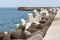 Breakwater protection under blue sky, solid concrete blocks in port of Heraklion. Greece