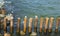 Breakwater on the shore in the Baltic sea. Seascape in the Kaliningrad region. Seagulls on wooden poles