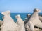 Breakwater tetrapods made from concrete for protection. Tetrapods for sea shore protection