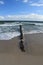 Breakwaters and calmly wavy Baltic Sea, Hel, Poland