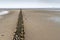 Breakwaters protrude into the Wadden Sea at low tide