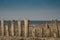 Breakwaters in the sand in Cadzand Bad, The Netherlands