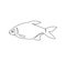 Bream, abramis brama continuous line drawing. One line art of freshwater fish, marine animals.
