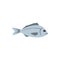 Bream fish icon in flat style