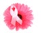 Breast Cancer Awareness Ribbon on Flower
