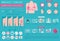 Breast cancer, medical infographic. Diagnostics, symptoms, treat