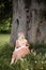 Breast feeding: Young hippie mother breastfeeds her baby girl child in city park sitting under a tree on a green grass