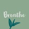 Breathe text written on abstract background, colorful budding leaves, positive thought on life, motivational quotes