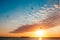 A breathless capture of the golden hour in Colonia Del Sacramento, Uruguay with a view to Rio De La Plata with birds flying