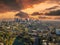 A breathtaking aerial shot of downtown Los Angeles with skyscrapers lush green trees, small buildings and homes