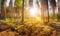 A breathtaking forest scene with the sun\\\'s brilliance peeking through trees Creating using generative AI tools