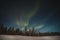 Breathtaking green dancing aurora borealis in the dark sky in Levi, lapland, Northern Finland. Green streaks of nothern lights