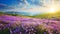 breathtaking landscape of the Alps mountains at spring, purple flowers at sunset