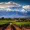 Breathtaking Landscapes of Mendoza, South America