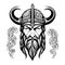 Breathtaking lovely vector art viking emblem symbol