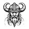 Breathtaking lovely viking emblem vector logo art