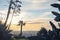 Breathtaking morning view of Downtown Los Angeles and Hollywood shot from Runyon Canyon, Hollywood Hills, California