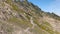 Breathtaking mountain trail with yellow flowers