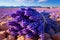 Breathtaking panoramic view of blooming lavender field in agricultural harvest landscape