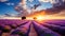 Breathtaking panoramic view of a stunning lavender field at sunset in a picturesque landscape