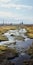 Breathtaking Real Photos Capturing Vast Bog Landscapes