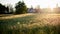 Breathtaking scenery of the sun rising over a field at the farmhouse