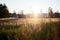 Breathtaking scenery of the sun rising over a field at the farmhouse