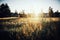 Breathtaking scenery of the sun rising over a field at the farmhouse