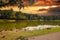 A breathtaking shot of vast silky green lake water surrounded by lush green grass and trees with ducks and geese around the lake