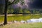 A breathtaking shot of vast silky green lake water surrounded by lush green grass and trees with ducks and geese around the lake