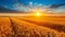 Breathtaking sunrise over serene countryside with vibrant wheat fields under clear blue sky