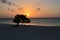Breathtaking Sunset on Eagle Beach in Aruba