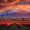 Breathtaking Sunset over Majestic Mountains in Mendoza