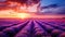 Breathtaking sunset over a stunning lavender field, creating a serene and idyllic landscape