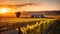 A Breathtaking Sunset Setting Over Vineyard, Mountains, and Barnscape in the distance with a fence and trees and a field with