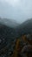 Breathtaking vertical shot of the mesmerizing foggy forested mountains