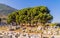 Breathtaking view of the ancient ruins with green trees and rock piles