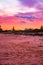 Breathtaking view of the beach glimmering under the pink sky - great for wallpapers