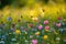 A breathtaking view of a field filled with an array of vibrant flowers, illuminated by the midday sun, A field of wildflowers