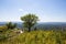 Breathtaking view of Grandad Bluff Park in La Crosse, Wisconsin from vantage point