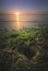 Breathtaking view of the mossy stones and seascape at the scenic sunset