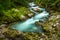 Breathtaking view over colorful Radovna river in Vintgar Gorge, Slovenia. Long exposure.